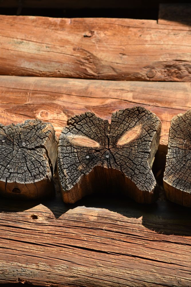 Photograph by Ольга Струкалина