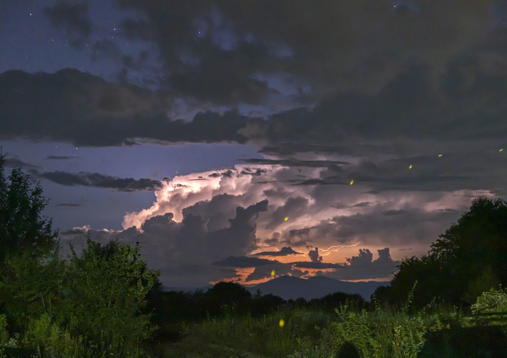 Полёт светлячка