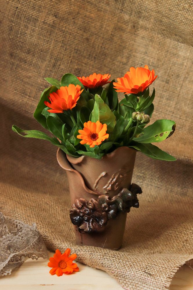 Photograph by Jelena Dzene