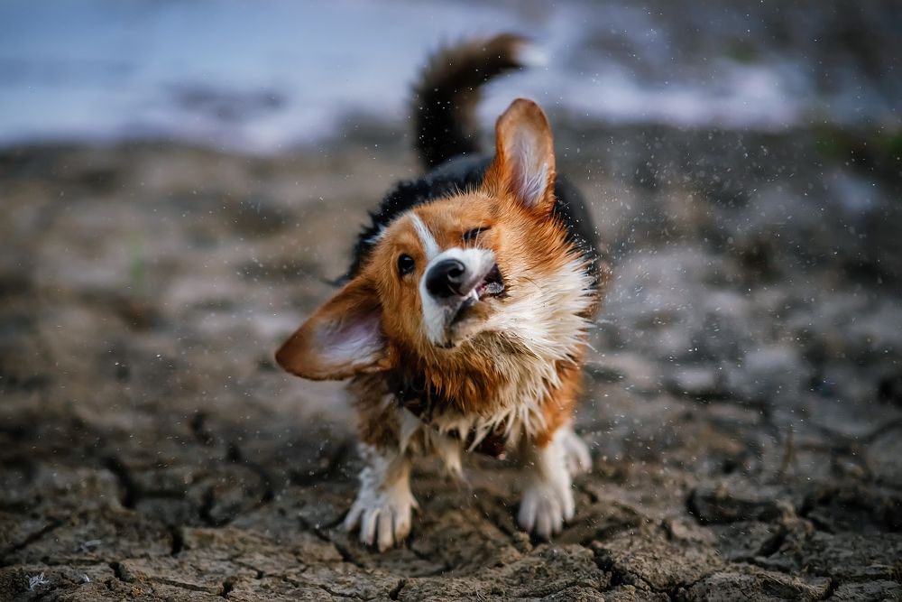 Photograph by Надежда Гдалевич