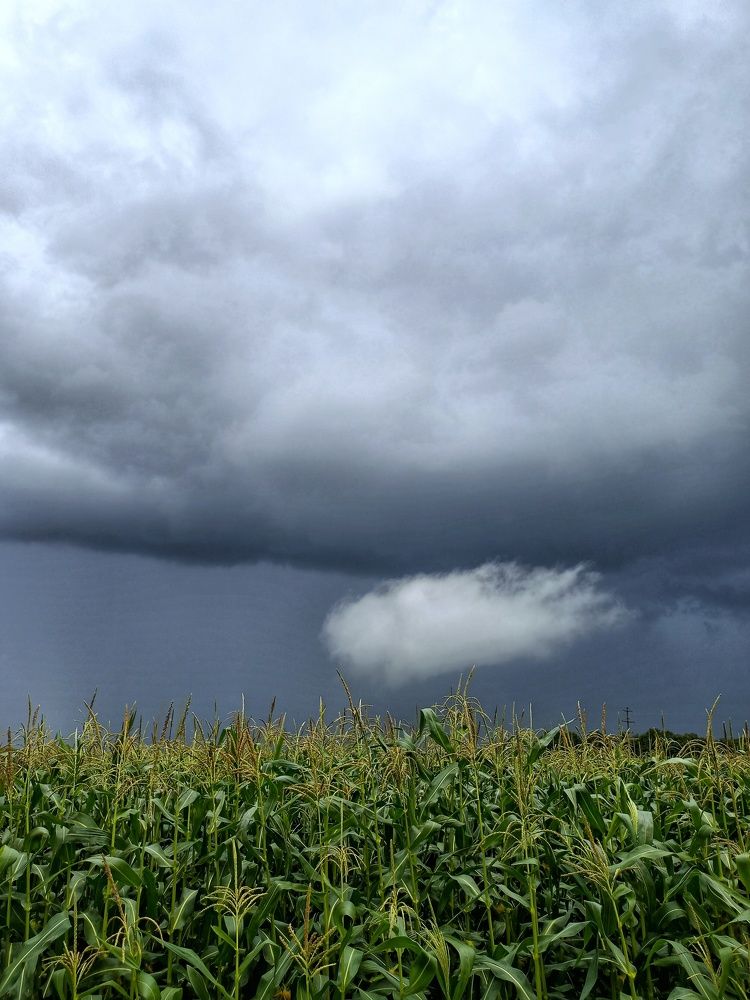 Photograph by Марина Рукавичко