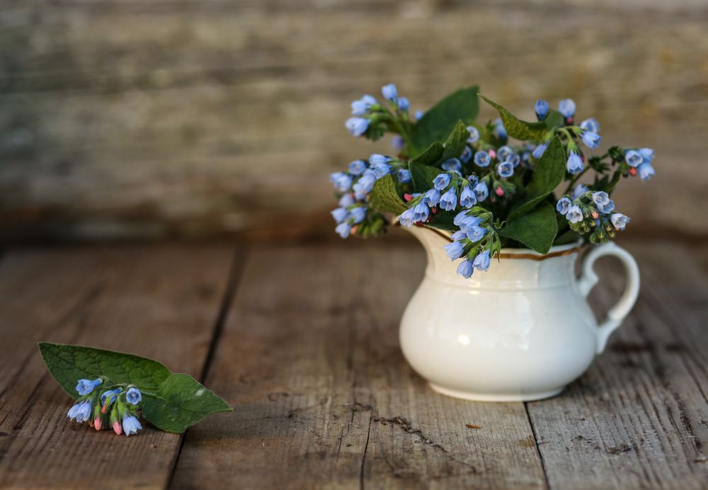 Photograph by Нина Колесова