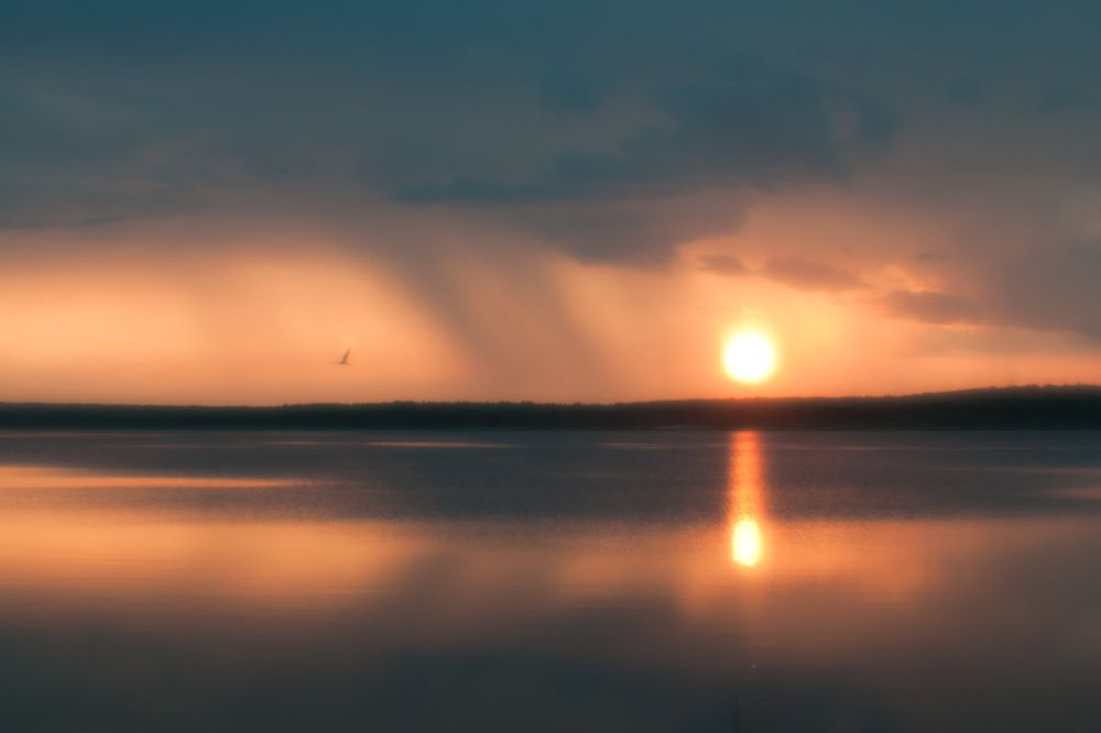 Photograph by Анна Козинова