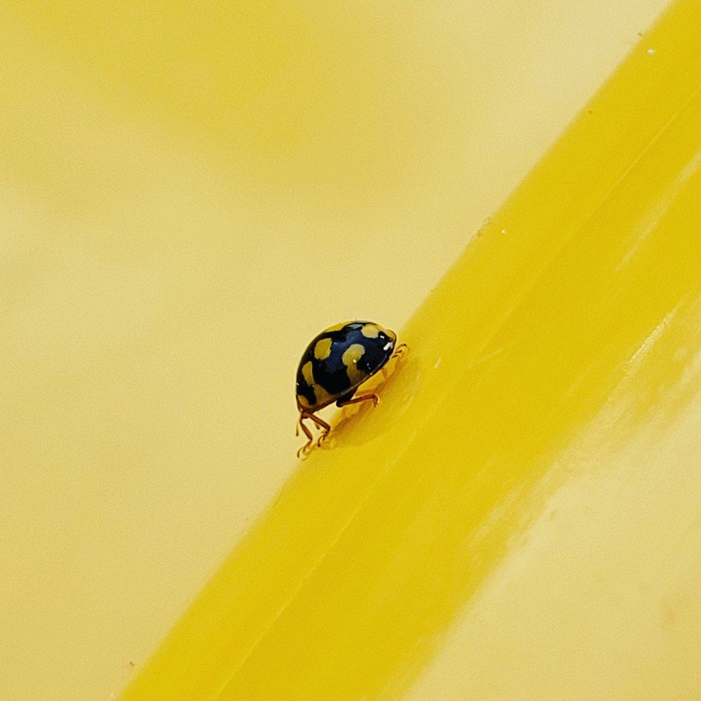 Фотография автора Kate Fontaine