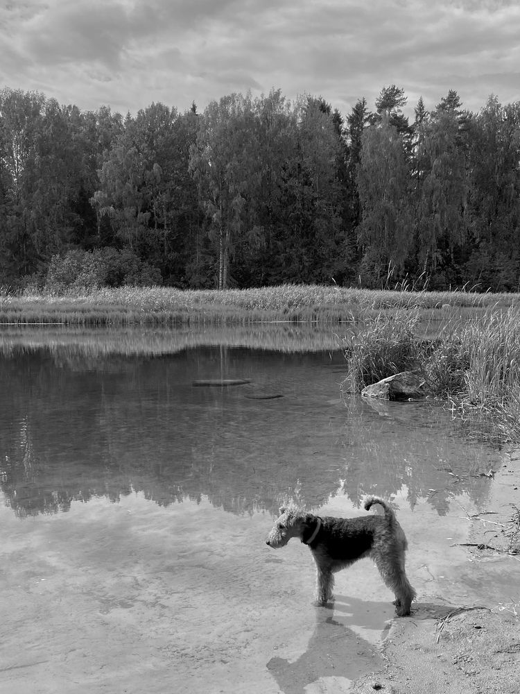 Photograph by Ирина Серегина