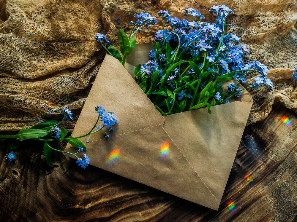 Photograph by Wrapper