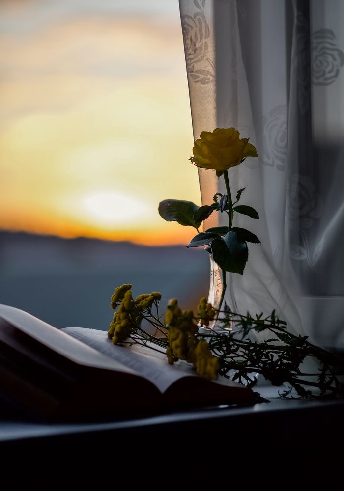 Photograph by Марина Суздаль