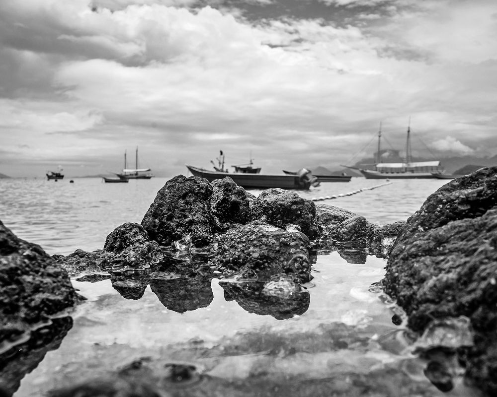 Photograph by Joao R Cortez