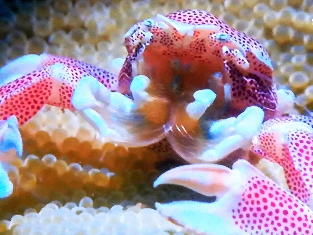 Photograph by Anila Ismailaj