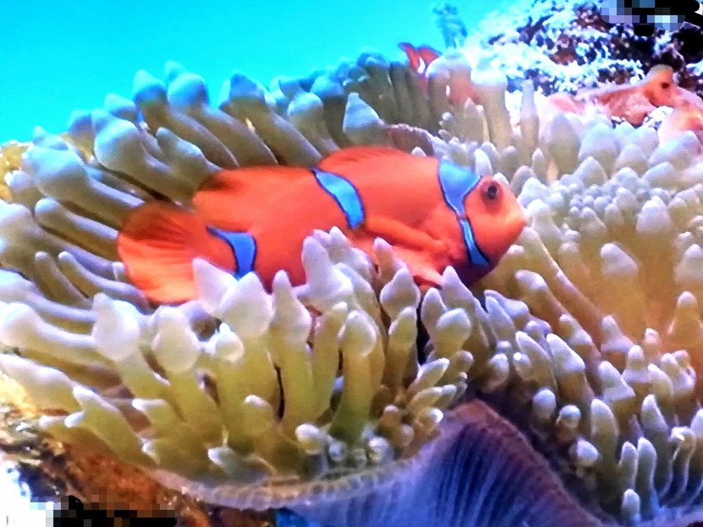 Photograph by Anila Ismailaj