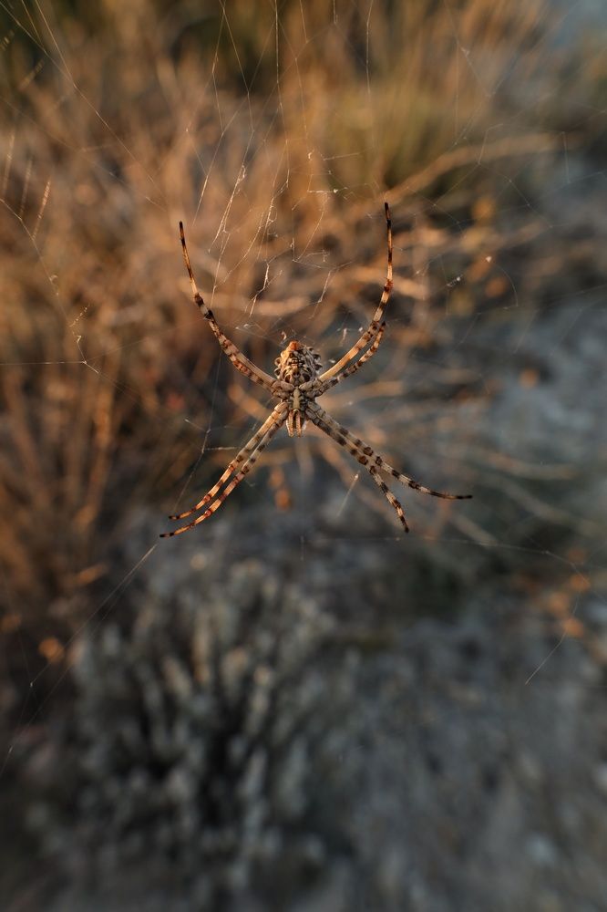 Photograph by Ольга Лукина