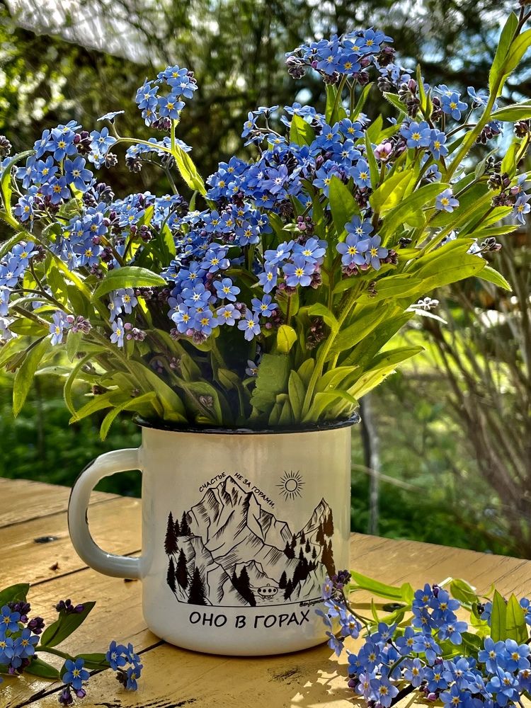 Фотография автора Юлия Недосекина