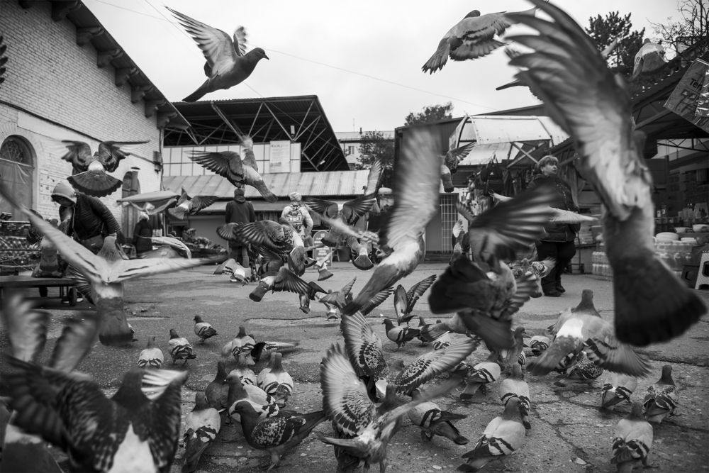 Photograph by Сергей Шварцман