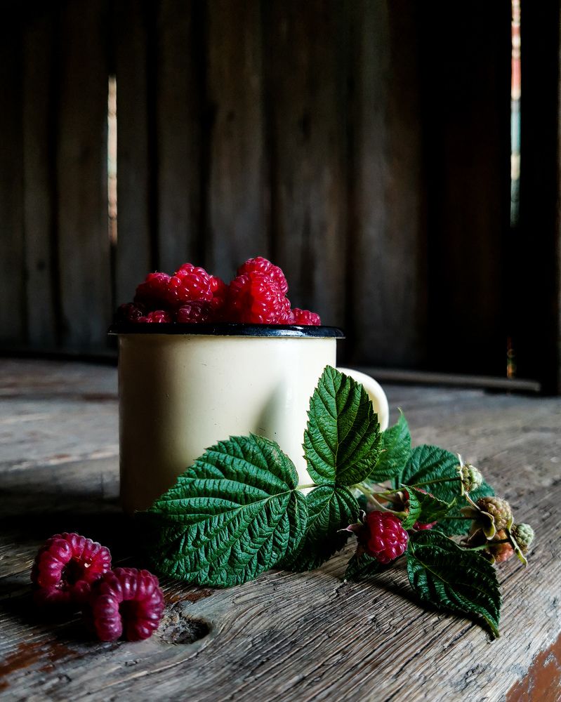 Photograph by Oxana Kostsova