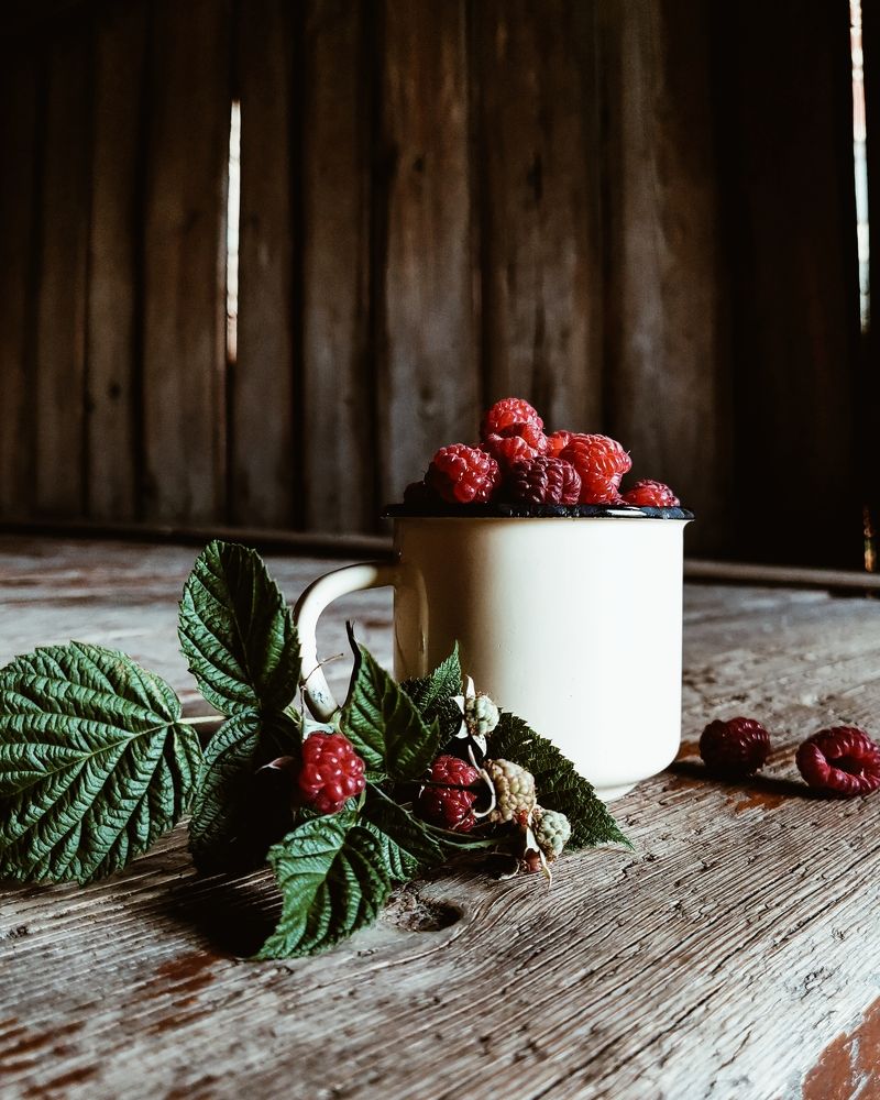 Photograph by Oxana Kostsova