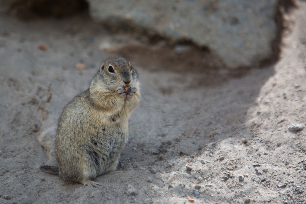 Photograph by Nadezhda Bakina