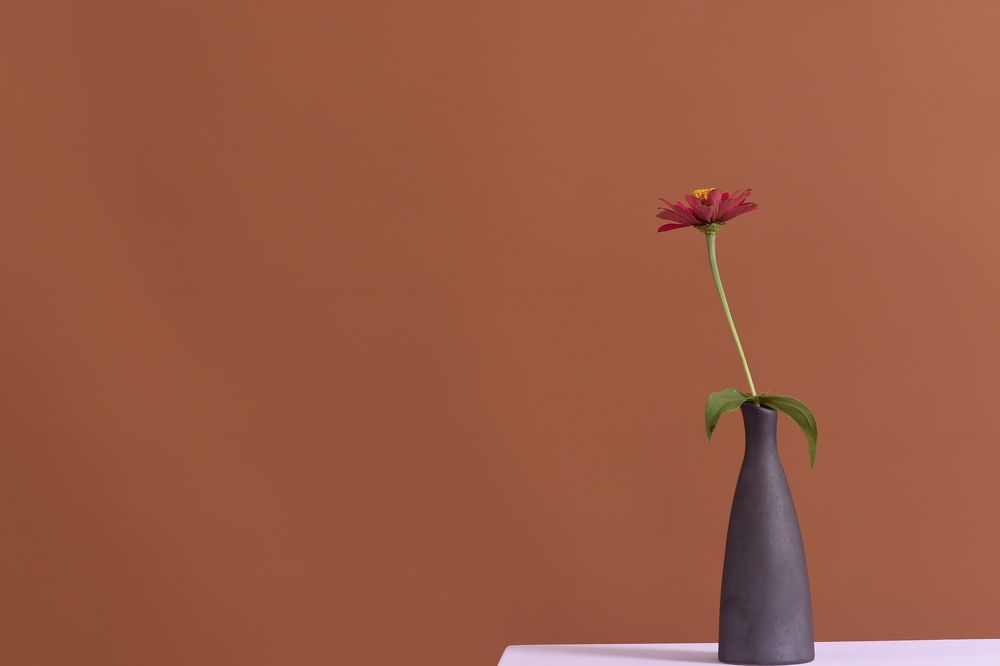 Photograph by Hà Art Nguyễn