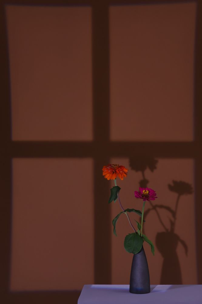 Photograph by Hà Art Nguyễn