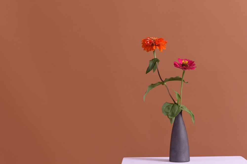 Photograph by Hà Art Nguyễn