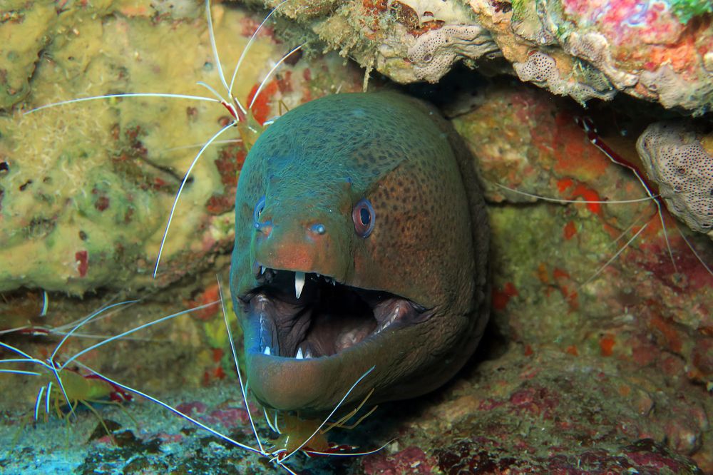 Photograph by Quyen Pham