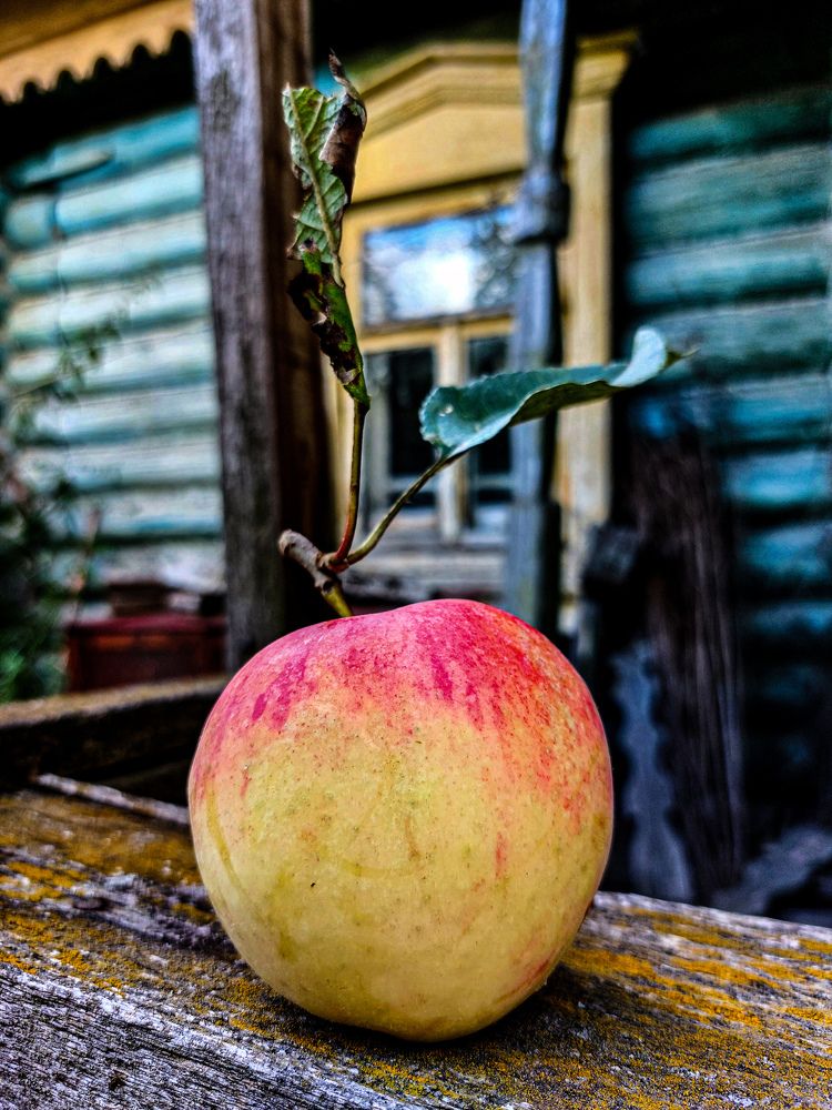Photograph by Елена Жеребцова