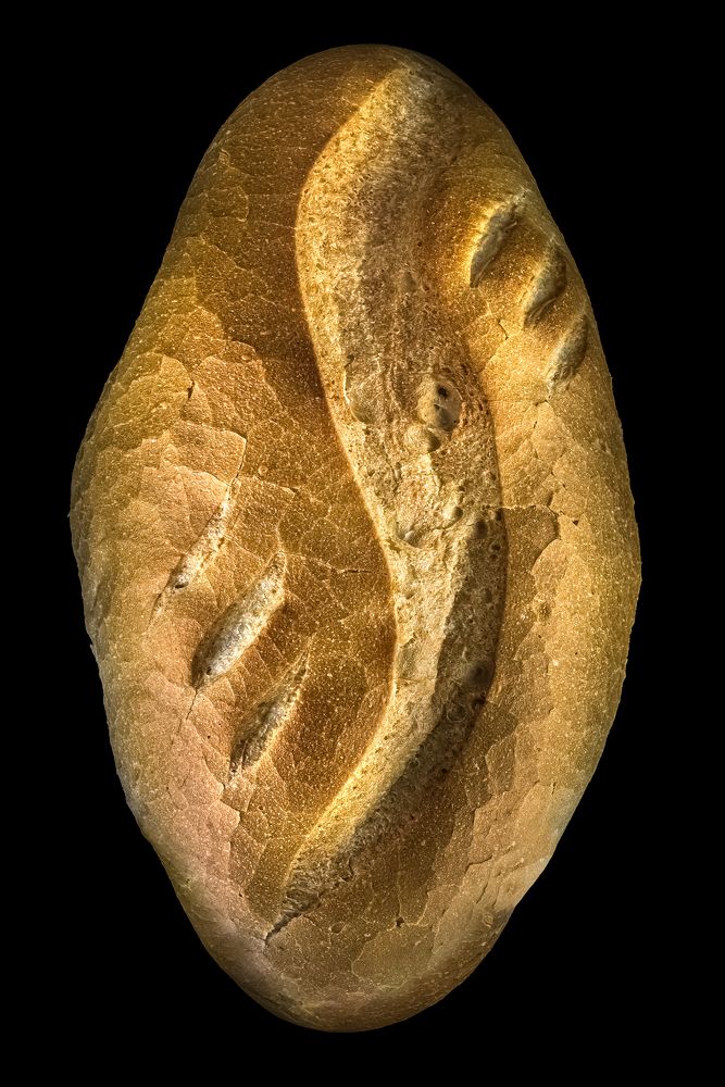 Photograph by Ata Hassanzadeh.D