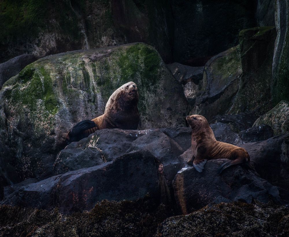 Photograph by Karasev Pavel