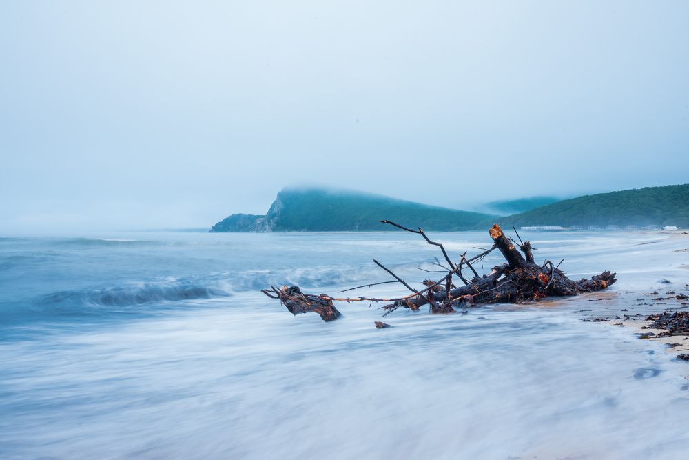 Photograph by Константин Костин