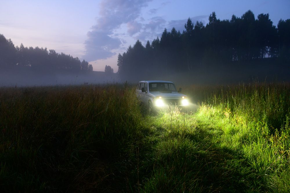 Фотография автора Григорьев Алексей