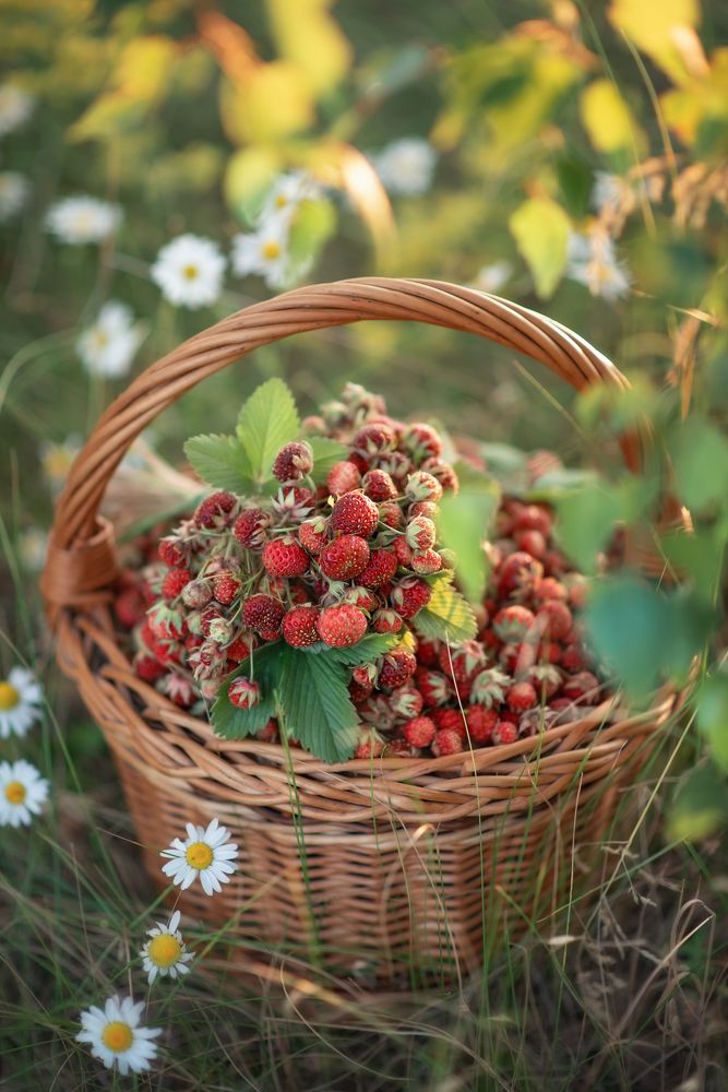 Photograph by Елена Косинова