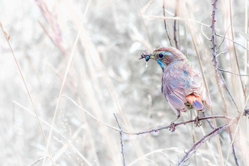 Photograph by Александр Соловьев