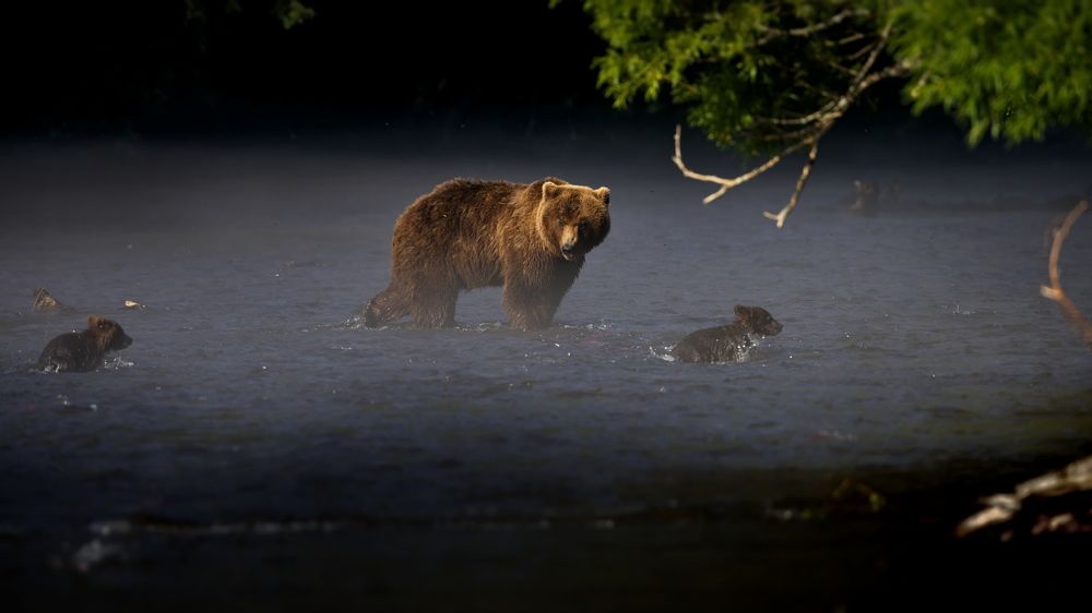 Материнство