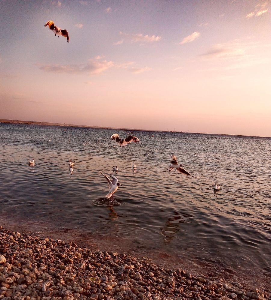 Фотография автора Rafa