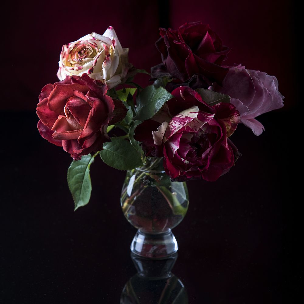 Photograph by Игнатьев Александр