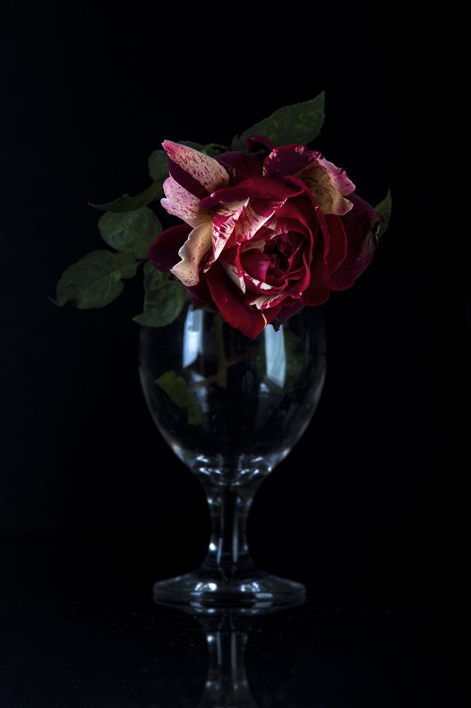 Photograph by Игнатьев Александр