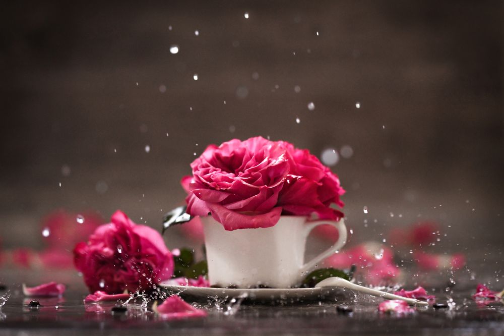 Photograph by Анна Штабель