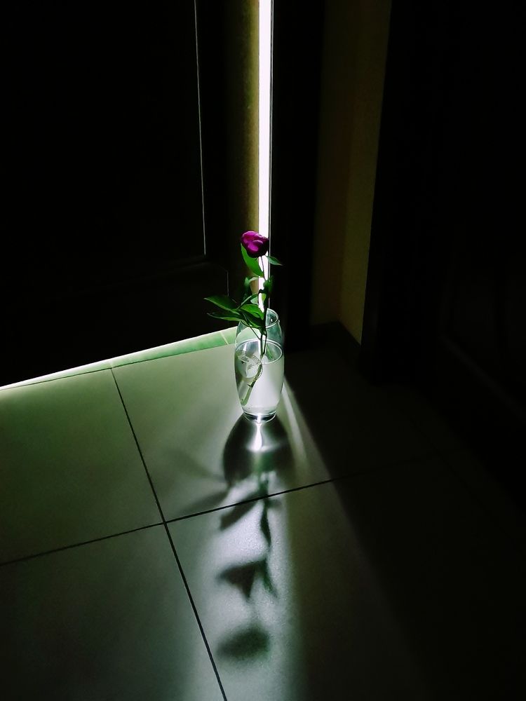 Фотография автора Rafa