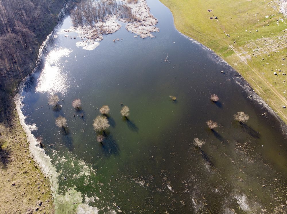 Photograph by Gergana Vlaykova