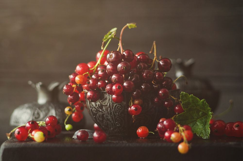 Смородиновое утро