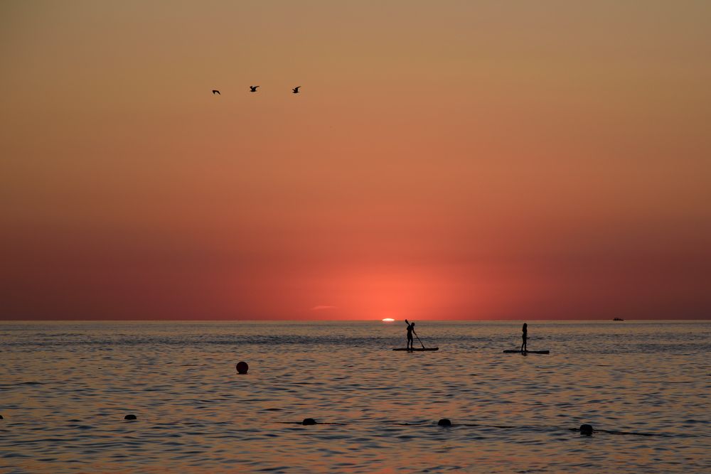 Photograph by Артём Самусенко