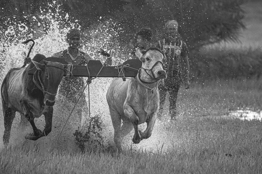 Photograph by debraj biswas