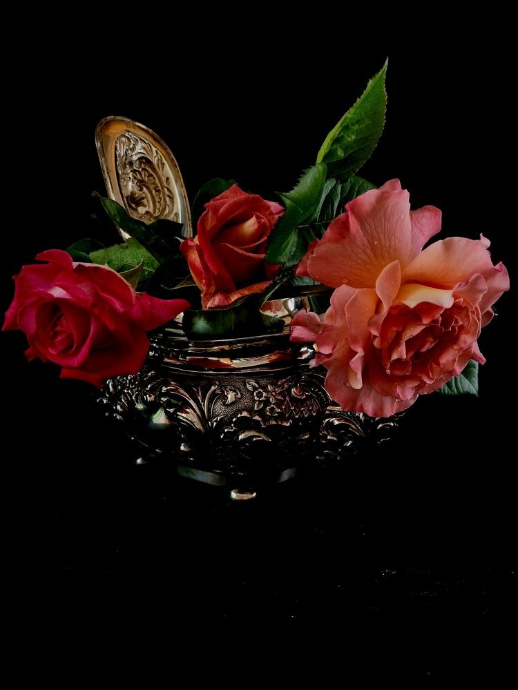 Photograph by Hanna Bourne