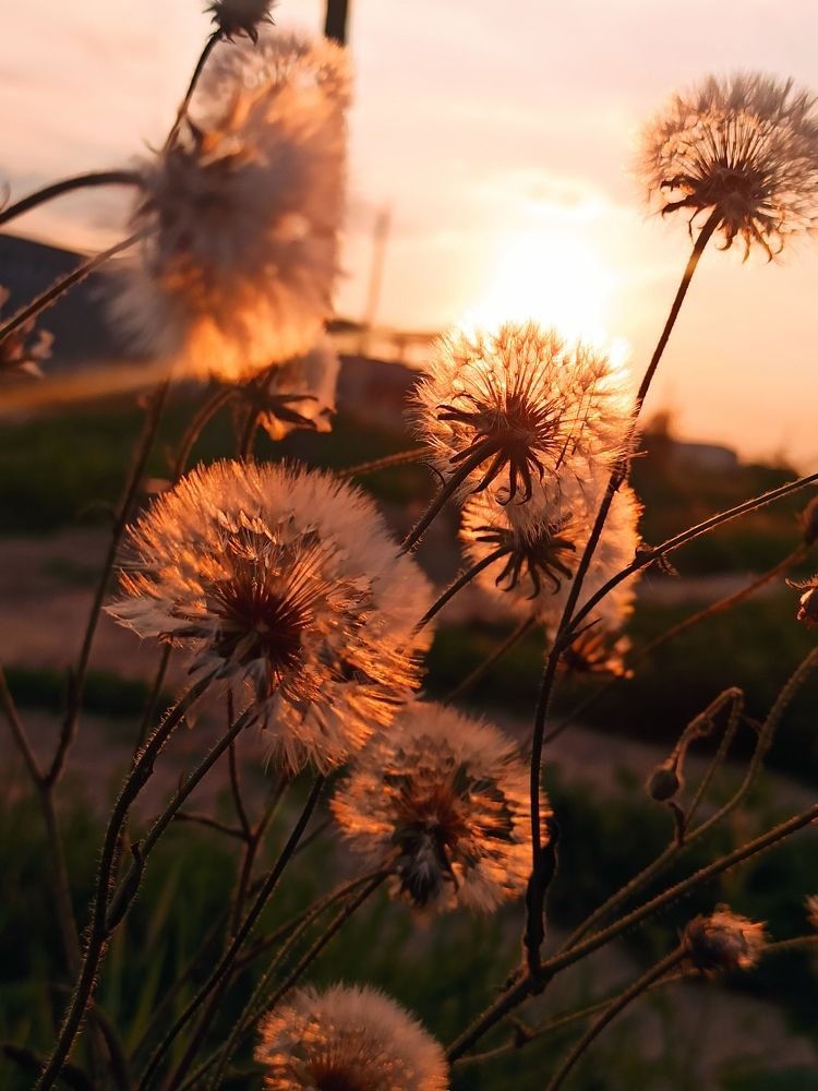 Photograph by Долгушева Татьяна