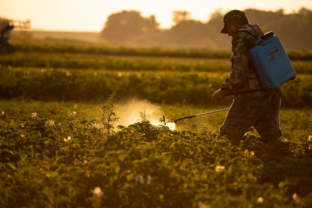 Photograph by Ляйсан Загидуллина