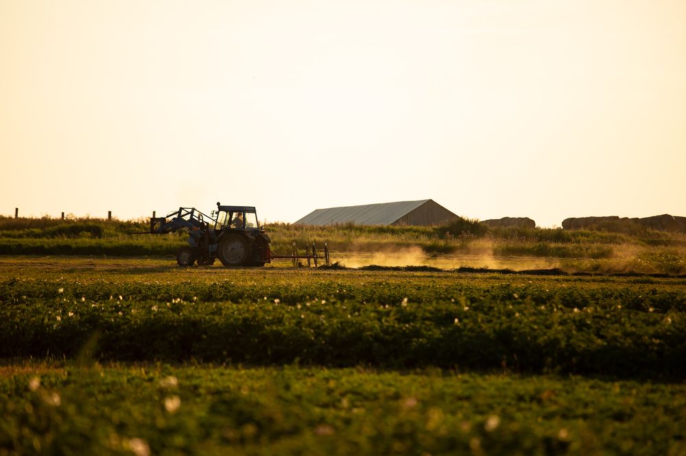 Photograph by Ляйсан Загидуллина