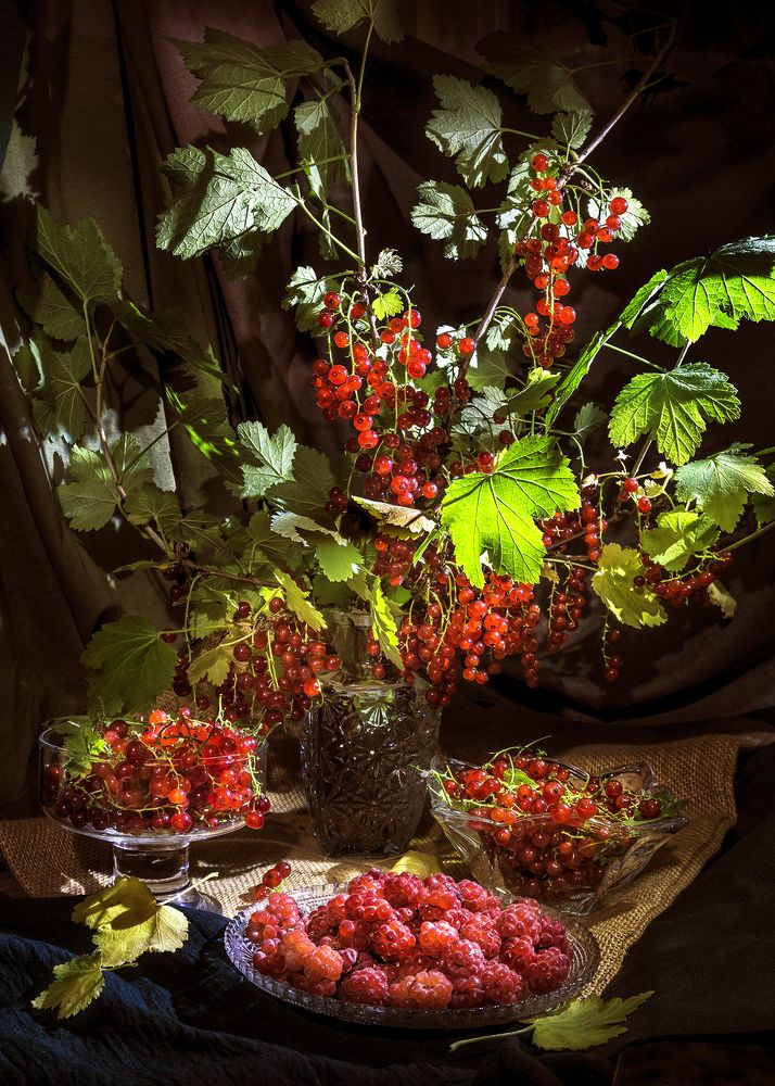 Фотография автора Milena Ivanova