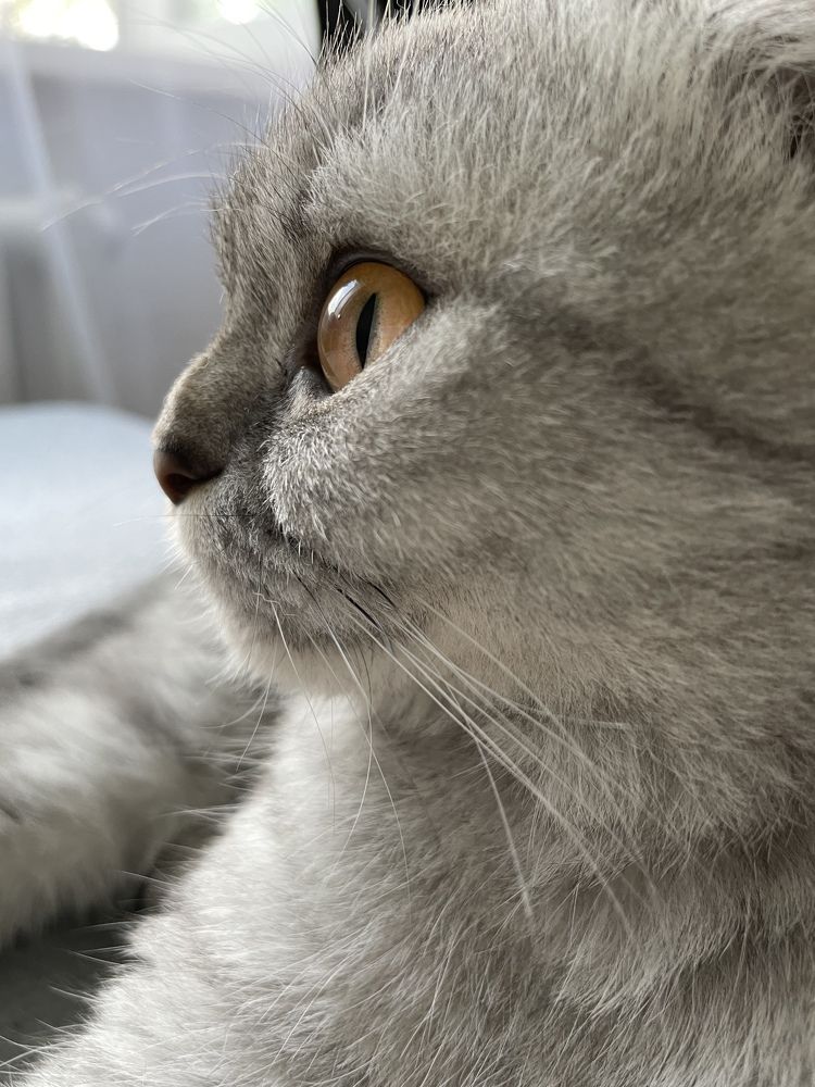 Photograph by Ольга Игумнова