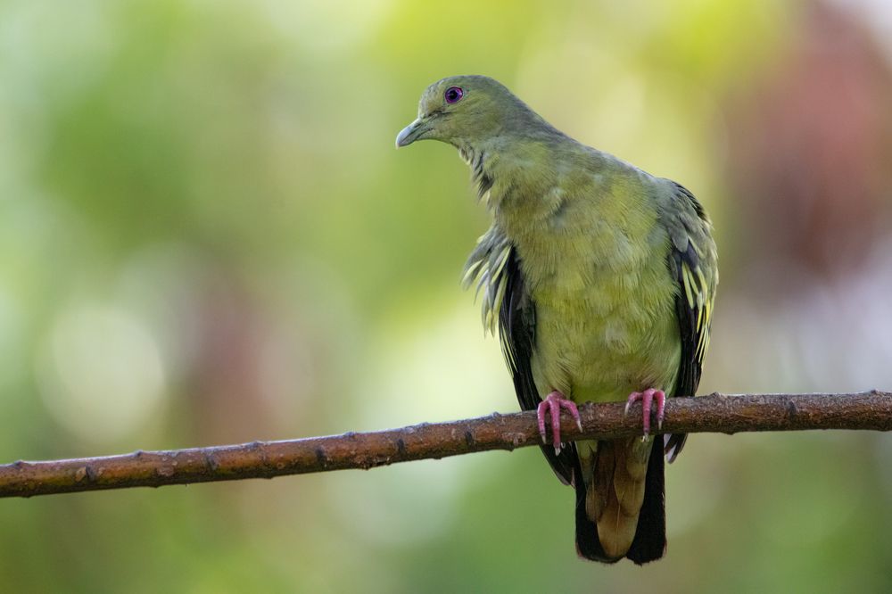 Photograph by Ishaan Shrimali