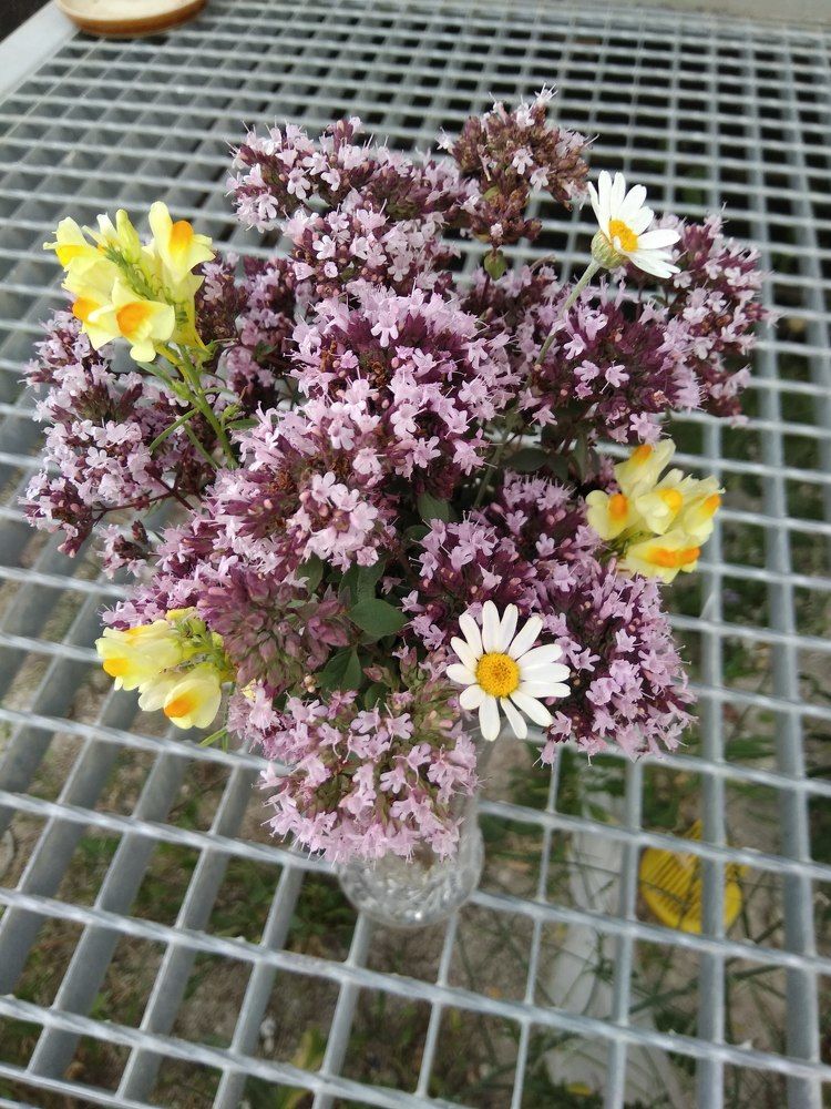 Photograph by Татьяна Ситникова