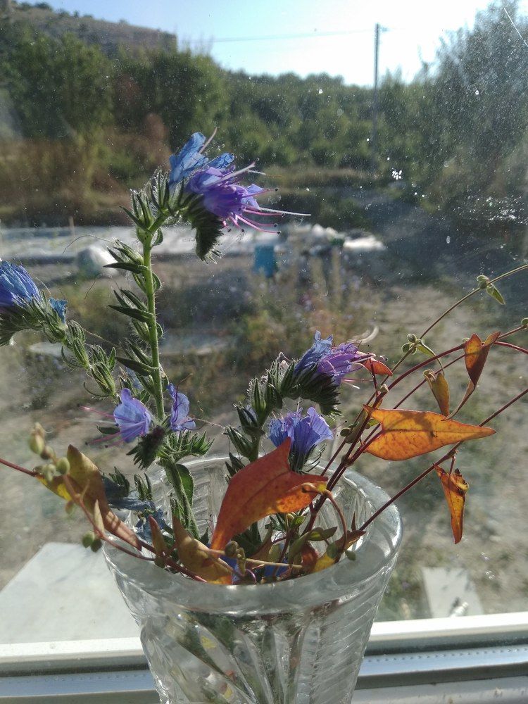 Photograph by Татьяна Ситникова